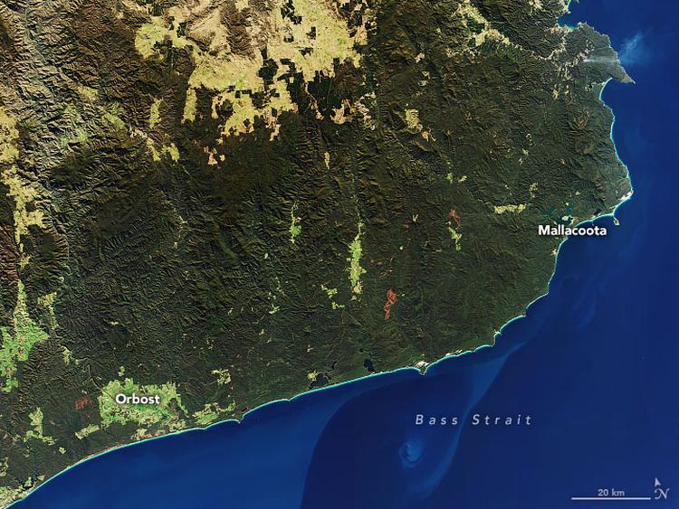 Et udsnit på ca. 150 km bredde set fra en Nasa satellit i godt 700 kms højde viser det sydøstlige hjørne af Australien 24. juli.  Foto: Joshua Stevens/NASA Earth Observatory images