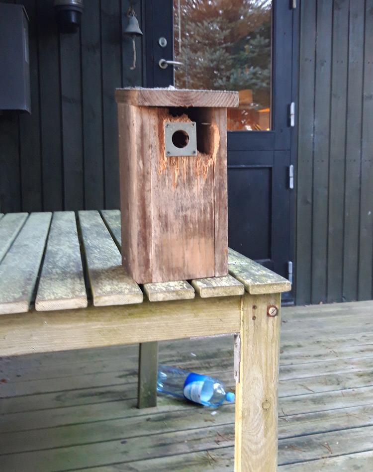 Denne solide kasse har haft besøg. Privatfoto 