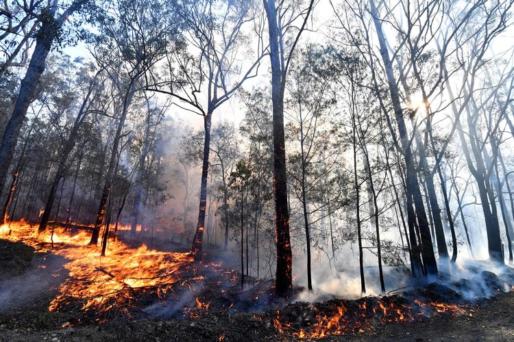 2.000 hjem er brændt ned som konsekvens af de omfattende australske skovbrande. 28 mennesker har mistet livet. Foto: Saeed Khan/Ritzau Scanpix