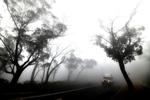 En bil bevæger sig gennem tyk tåge blandet med røg fra de mange brande i området ved Blue Mountains cirka 75 kilometer fra Sydney. Nu sendes danske brandmænd til Australien for at hjælpe til med at rydde op efter nogle af de mange brande, der har raseret i den sydøstlige del af landet i flere måneder. 
