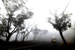 Røgen fra naturbrandene ligger her som en dyne over et større område 75 kilometer syd for storbyen Sydney. Røgen fra naturbrandene er faktisk så omfattende, at den er på vej rundt om Jorden højt oppe i stratosfæren. Foto: Saeed Khan/Ritzau Scanpix