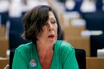 
    Theresa Griffin har hidtil været  Labour medlem af Europaparlamentet. Nu ved hun ikke, hvad hun skal beskæftige  sig med. 
   Foto: Philippe Buissin