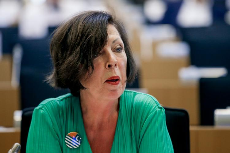 
    Theresa Griffin har hidtil været  Labour medlem af Europaparlamentet. Nu ved hun ikke, hvad hun skal beskæftige  sig med. 
   Foto: Philippe Buissin