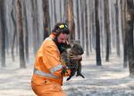 Verdenseliten frygter for klimaet og brandene i Australien og Californien. Her er det Simon Adamczyk der redder en koalabjørn fra ilden nær Adelaide i Australien.  Foto: Stringer ./Ritzau Scanpix