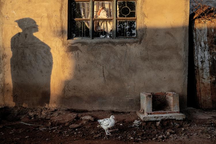 Komfurer i Kenya er i årevis blevet brugt til at gøre danske hjemmesider CO2-neutrale. Men da Politiken besøgte området, sagde de lokale kenyanere, at de ikke brugte dem. Foto: Peter Hove Olesen/POLFOTO