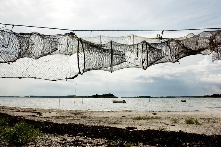 En bro mellem Jylland og Sjælland, via Samsø, er igen igen på tale. På Samsø er mange af beboerne bange for at miste den karakteristiske ro og fred, som ølivet på Samsø er kendt for.
   Foto: Thomas Fredberg/POLFOTO