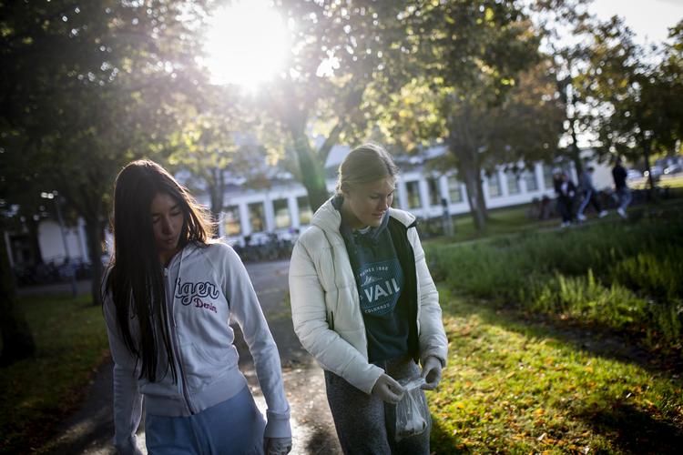 Elever er ude og samle plastik som en del af 'Masseeksperimentet 2019', hvor 75.000 folkeskoleelever samlede plastik i hele landet. Herefter har 
de i samarbejde med forskere kortlagt, hvordan plastikforureningen ser ud i Danmark.
   Foto: Jens Hartmann Schmidt/POLFOTO