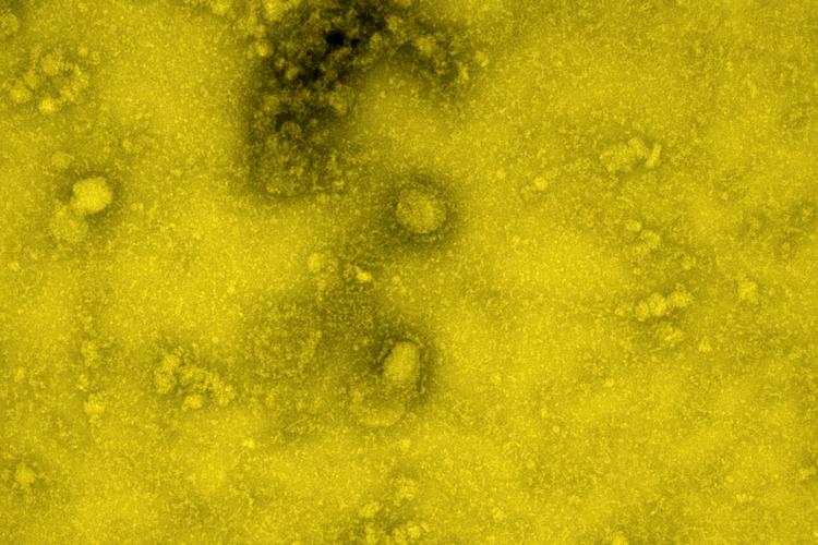 file791lluat088b4gl9nzu