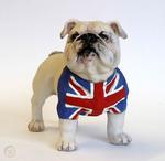 atsbulldog
