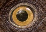 birdinos 2