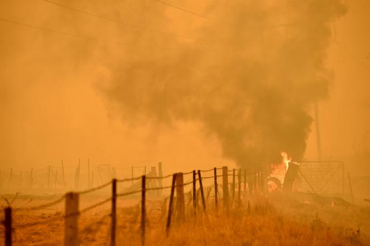 Brandene nærmer sig Australiens hovedstad, Canberra. Her er det ved byen Bumbalong syd for Canberra. Foto: Peter Parks/Ritzau Scanpix