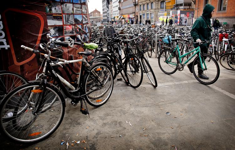 Kombinationen af cykeltrafik og tog kræver til tider en udvidet sporjæger-eksamen, når man skal finde sin cykel ved stationen.  Foto: Jens Dresling/POLFOTO