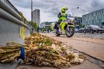 Blomster ved stedet, hvor en vanvidsbilist i høj fart slog en politibetjent ihjel, da vedkommende kørte med 108 km/t over Langebro i det centrale København. Foto: Søren Bidstrup/Ritzau Scanpix