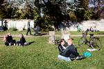 Assistens Kirkegård på Nørrebro er et eksistentielt rum, et sted for eftertanke - og et sted for rekreation.  Og det er vigtigt, at vi passer på den slags steder, skriver arkitekturredaktør Karsten R.S. Ifversen.  Arkivfoto Daniel Hjorth