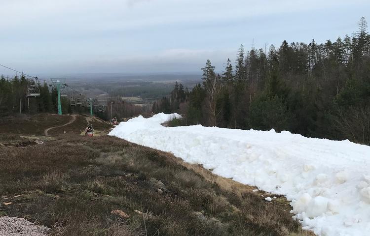 På Vallåsen er man fuld gang med a klargøre Halmstad-bakken - en 1 kilometer lang hvid bane af kunstsne midt i alt det brungrønne. Foto: Vallåsen