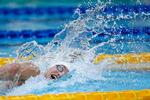 117 nuværende eller tidligere elitesvømmere har besvaret undersøgelse til svømmerapport.  Foto: Jens Dresling/POLFOTO