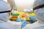 Medarbejdere er i gang med undersøgelser relateret til udbruddet af coronavirus på et laboratorium i Wuhan. Nu er den første amerikaner død som følge af smitte af coronavirus.  Foto: China Daily/Ritzau Scanpix
