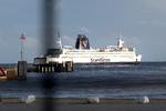 På grund af vejret er Scandlines nødt til at aflyse nogle afgange og ombooke flere passagerer onsdag. Foto: Mads Winther/POLFOTO