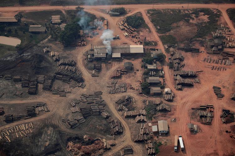 Den sydøstlige del af Amazonas-regnskoven har det især svært. Den udleder mere CO2, end den optager, og det kan være problematisk for fremtiden.  Foto: Ueslei Marcelino/Ritzau Scanpix