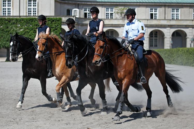 Foto: Jens Dresling/POLFOTO