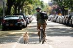 Potdealeren, som aldrig hedder andet end The Guy, fungerer mere som fremdriftsmotoren end hovedperson i 'High Maintenance'. Seriens fokus er i stedet hans kunder i New York. 