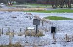Den massive regn udfordrer landbruget. På billedet ses Varde Å, der er gået over sine bredder på grund af kraftig blæst og masser af regn. Foto: John Randeris/Ritzau Scanpix