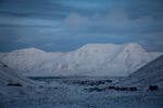 Både Norge og Rusland forsøger at undgå at gøre Svalbard mellem Rusland og Nordamerika til en sikkerhedspolitisk kastebold. Foto: Jens Hartmann Schmidt/POLFOTO