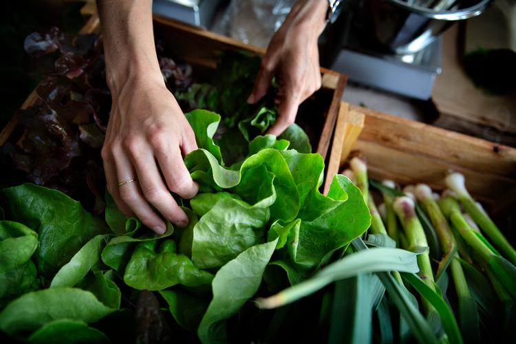 Foto: Martin Lehmann/POLFOTO