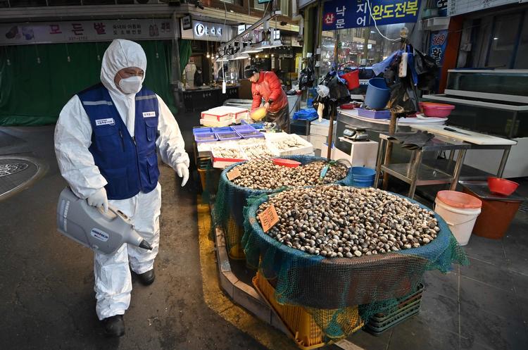 En ansat fra Korea Pest Control Association desinficerer et marked i den sydkoreanske hovedstad Seoul. Foto: Jung Yeon-je/Ritzau Scanpix