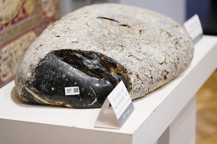 Kopalstykket vejer 38,450 kilo og måler 66 centimeter. Foto: Ida Guldbæk Arentsen/Ritzau Scanpix