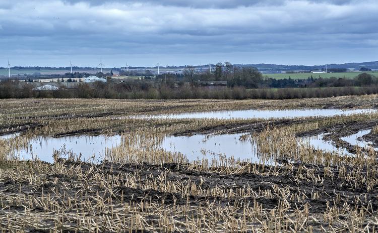     Oversvømmet mark ved Skørping i Himmerland. Foto: Henning Bagger/Ritzau Scanpix