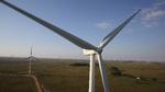 JP/Politikens Hus har købt klimakreditter fra vindmølleprojektet Windfarm Complex Santa Vitória do Palmar and Chuí.  Foto: Vanderlei Tacchio/divulgação Eletrosul