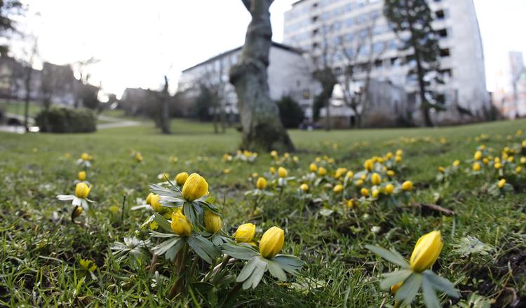 Foto: Jens Dresling (arkiv)/POLFOTO