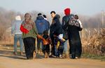 Flygtninge på vej gennem Tyrkiet til grænsen mod Grækenland.  Foto: Leonhard Foeger/Ritzau Scanpix