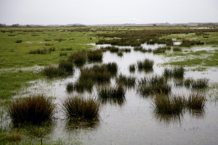     Februar 2020 har budt på rekordstore mængder nedbør. Flere steder i Jylland har vandmasserne voldt beboerne store problemer. Foto: Finn Frandsen/POLFOTO