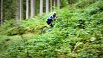 Wagrain i Østrig er et af de steder, der trækker mange mountainbike-rejsende til. Foto: Per Munch
