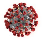 Coronavirus får verdens nationer til at tage drastiske tiltag i kampen mod en pandemi.  Foto: Cdc