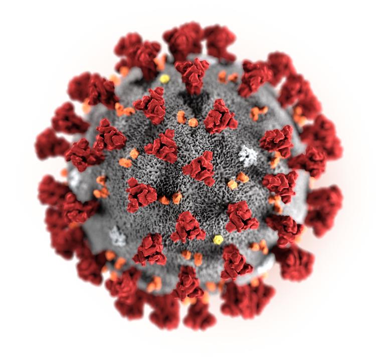 Coronavirus får verdens nationer til at tage drastiske tiltag i kampen mod en pandemi.  Foto: Cdc