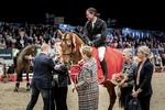 Dansk Varmblods Hingstekåring i Herning 2019   Foto: Celina Dahl/Ritzau Scanpix
