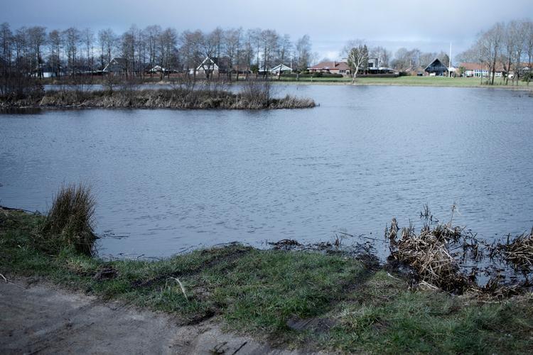Gennem årene har Grindsted bredt sig ud til Engsøen. Bunden i den lavvandede sø gemmer på kviksølv og andre tungmetaller fra tidligere udledninger fra Grindstedværket. Foto: Mikkel Hørlyck/POLFOTO