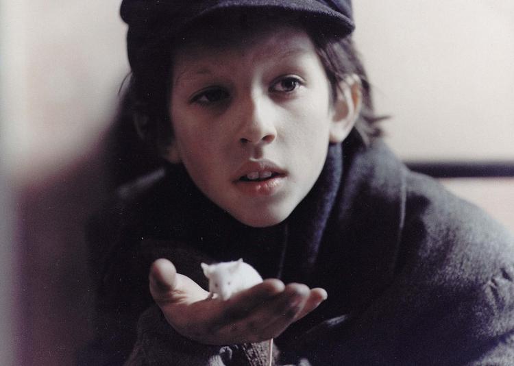 Uri Orlevs smukke forundringshistorie om drengen Alex fra ghettoen, der vokser op med reflekser om at gemme sig, dukke nakken og være snu og snedig, ’Øen i Fuglegaden’, er solidarisk filmatiseret af Søren Krag-Jacobsen.  Foto: Still fra filmen: Astrid Wirth