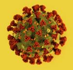 file7931h48oglz1ja2kw91y