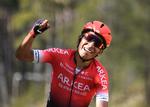En lykkelig Nairo Quintana-jubler over triumfen på kongeetapen i Paris-Nice
 Foto: Alain Jocard/Ritzau Scanpix