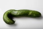 Formen lever måske ikke op til 1.-sorteringskrav, men smagen er udmærket. Foto: Jonas Pryner Andersen/POLFOTO