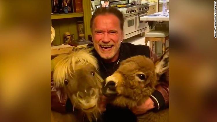 Framegrabe fra Arnold Schwarzeneggers Twitter-video. 