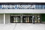Kronisk syge er særligt udsatte under epidemien. Foto: Finn Frandsen/POLFOTO