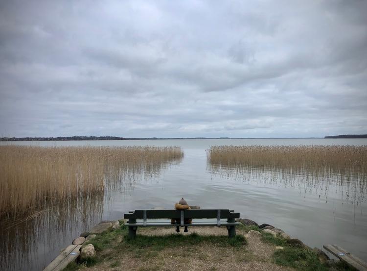 Naturstyrelsen opfordrer os til at bruge naturen under coronakrisen, som Politikens fotograf Peter Hove Olesen gjorde tirsdag med sin tre-årige søn Vester ved Tibirke Sand ved Arresø i Nordsjælland. Far og søn delte også en hindbærsnitte, men holdt behørig afstand til andre naturelskere. Foto: Peter Hove Olesen
