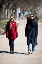 Foto: Andreas Merrald/POLFOTO