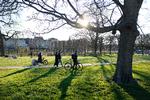 Kongens Have i København er en af de grønne områder, hvor der normalt er mange mennesker på solskinsdage. Foto: Thomas Borberg/POLFOTO