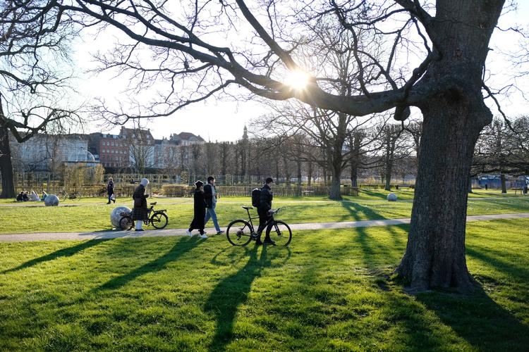 Kongens Have i København er en af de grønne områder, hvor der normalt er mange mennesker på solskinsdage. Foto: Thomas Borberg/POLFOTO